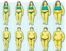 Classification of Obesity