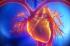 A Short Introduction to Cardiovascular photo
