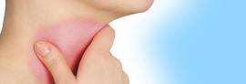 What Is the Thyroid Gland And How Does It Affect Your Everyday Health?
