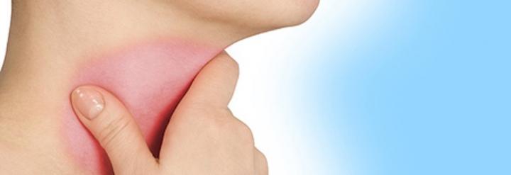 What Is the Thyroid Gland And How Does It Affect Your Everyday Health?