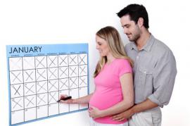 Things To Know About Periods After Pregnancy And Pregnancy Calculators