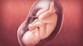 Influence of mother's disease on the fetus