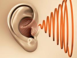 What Do Tinnitus Sufferers Have in Common?