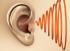 What Do Tinnitus Sufferers Have in Common?