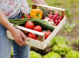 Organic Food To A Healthy Life