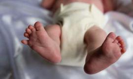 Health Preterm Infants: What to Expect?