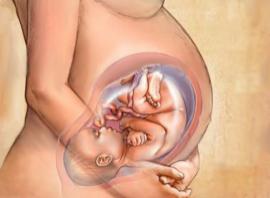 Fetal Medicine & Maternal Medicine