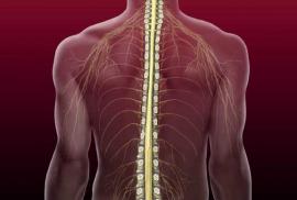 Spinal Injury Medicine
